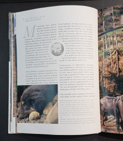 Kierrätyskirja (Maailman koirat ihmisen ystävinä ja apureina)