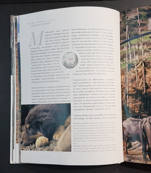 Kierrätyskirja (Maailman koirat ihmisen ystävinä ja apureina)