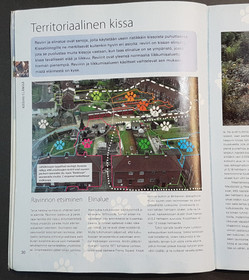 Kierrätyskirja (Roger Tabor - Ymmärrä kissaasi)