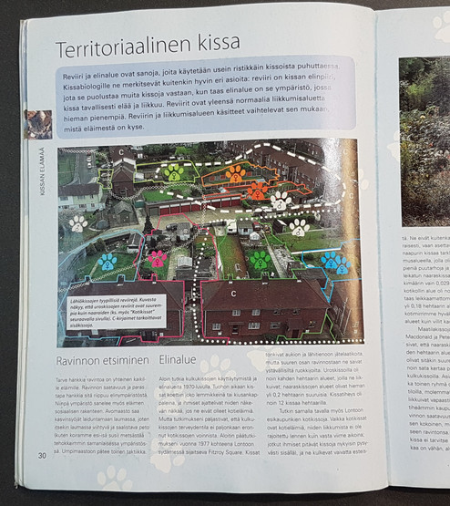 Kierrätyskirja (Roger Tabor - Ymmärrä kissaasi)