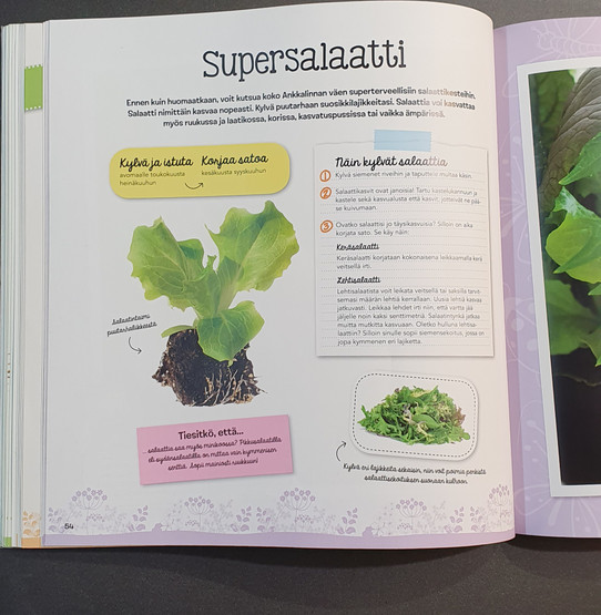 Kierrätyskirja (Räpylät mullassa: Ankkalinnan puutarhakirja)