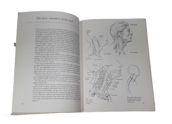 Kierrätyskirja (Louise Gordon - Anatomy and figure drawing)