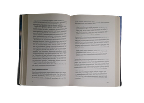 Kierrätyskirja (Johanna Vesikallio - Lillan - Elisabeth Rehnin epätavallinen elämä)