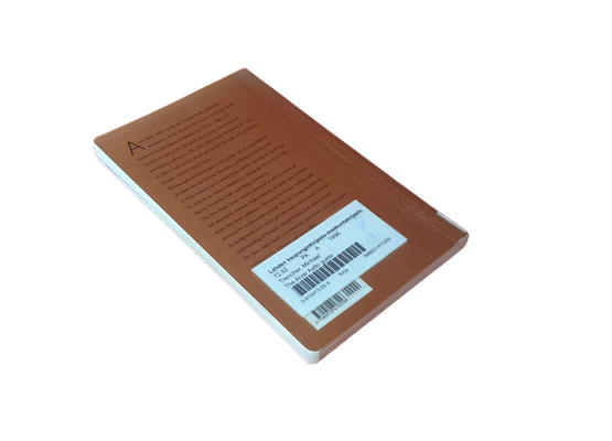 Kierrätyskirja (Michael Trencher - The Alvar Aalto Guide)