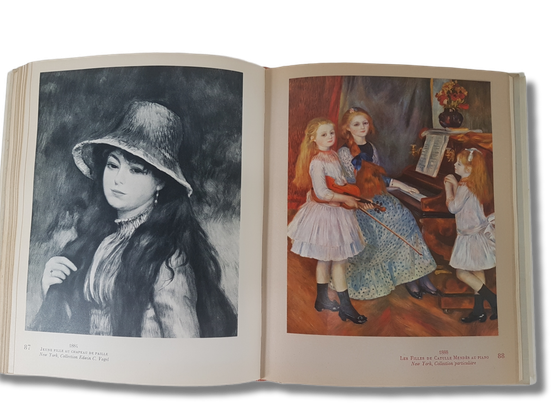 Taidekirja (Michel Drucker - Renoir)