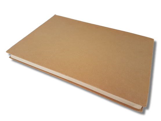 Kirja (Minä elän - Aleksis Kivi ajan kuvastimessa)