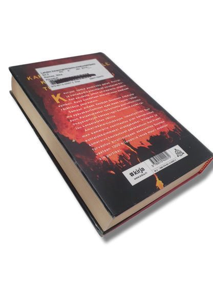 Kierrätyskirja (Ilkka Remes - Kiirastuli)