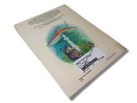 Lasten kierrätyskirja (Marjatta Pokela - Mörri-Möykyn suvi)