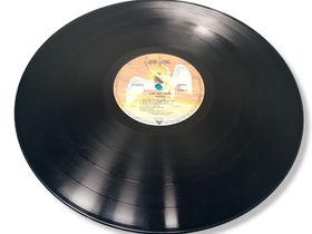 LP -levy (Led Zeppelin - Coda)