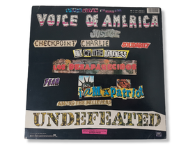 LP -levy (Little Steven - Voice Of America)