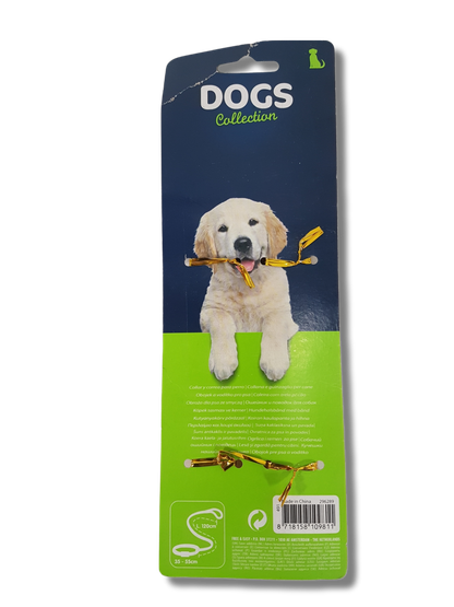 Koiran panta ja hihna (Dogs Collection)