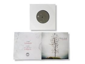 Vinyylisingle (Slack Bird - Turvallisuuden onnettomuus)