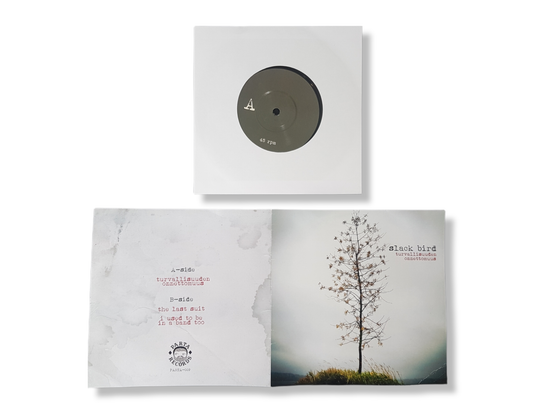 Vinyylisingle (Slack Bird - Turvallisuuden onnettomuus)