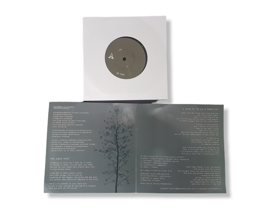 Vinyylisingle (Slack Bird - Turvallisuuden onnettomuus)