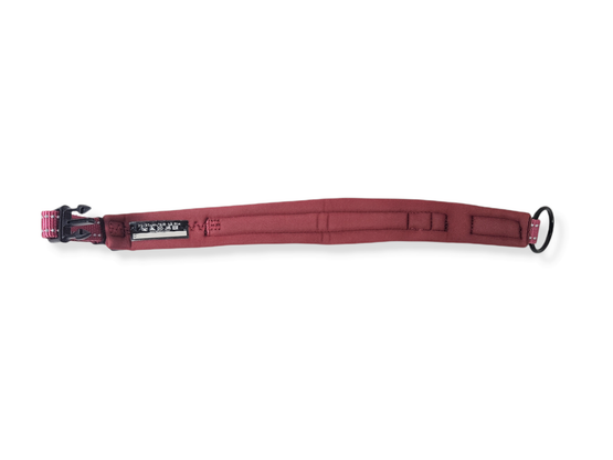 Koiran kaulapanta 25 - 35 cm (Feel Active)