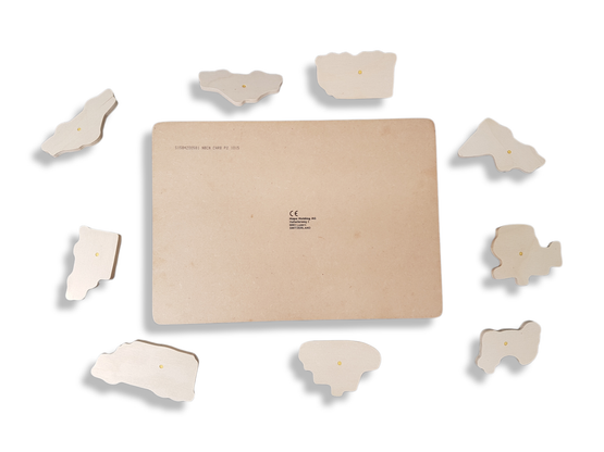 Nuppipalapeli (Hape Holding Switzerland)