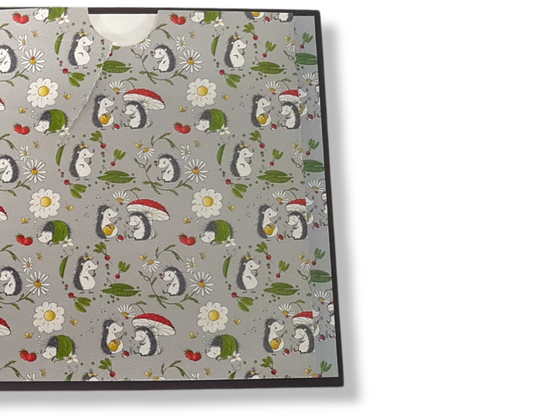 CD-levy (Soiva Siili - Ääniharava)