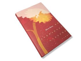 Kirja (Maria Peura - On rakkautes ääretön)