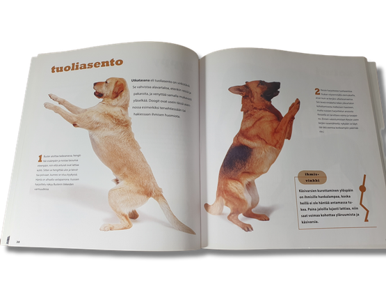 Kirja (Koirajoogaa - Jennifer Brilliant, William Berloni)