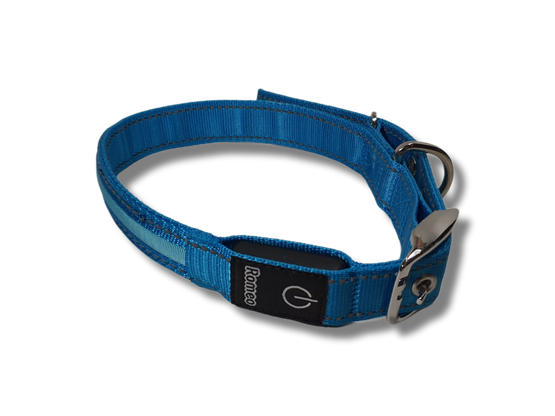 Koiran valokaulapanta (Romeo)