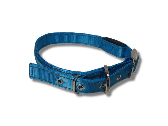 Koiran valokaulapanta (Romeo)