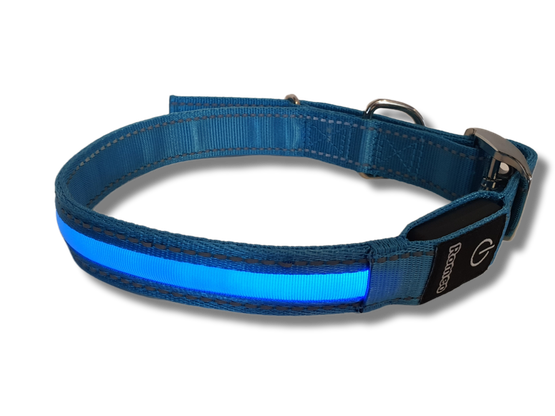 Koiran valokaulapanta (Romeo)