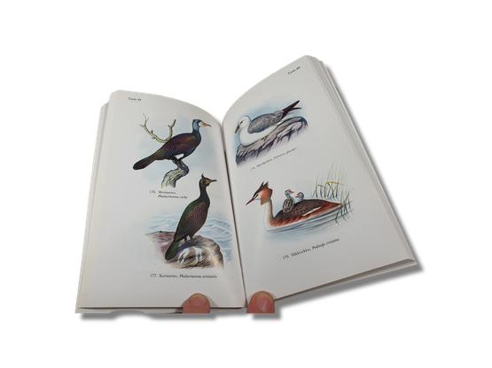 Kirja (Värikäs Lintukuvasto - WSOY)