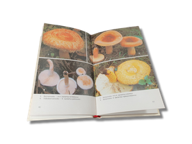 Kirja (Sienestäjän kirja - Mauri korhonen)