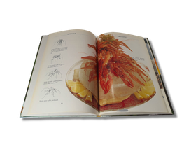 Kirja (Jaakon Kesäkeittiö)