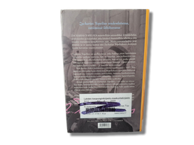 Kierrätyskirja (Ei kaipuuta ei surua : Päivä Zacharias Topeliuksen elämästä - Merete Mazzaewlla)