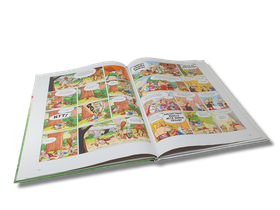 Sarjakuvakirja (Asterix ja Riidankylväjä)