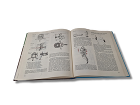 Kirja (Kehon Rakenne, Toiminta ja Lihashuolto - Jarmo Ahonen)