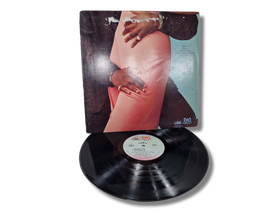 LP / vinyyli -levy (Junie When We Do)