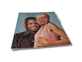 LP / vinyyli -levy (Junie When We Do)