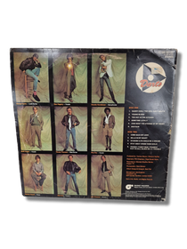 LP / vinyyli -levy (Darts)