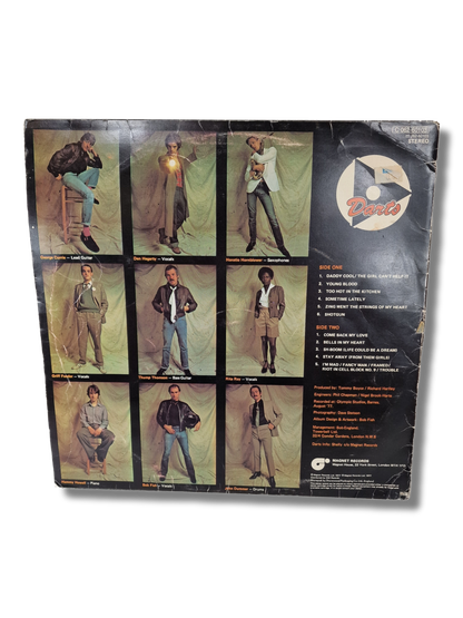 LP / vinyyli -levy (Darts)