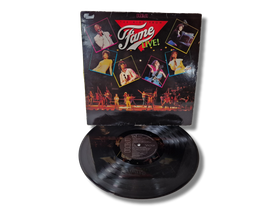 LP / vinyyli -levy (The kids From Fame - Live)