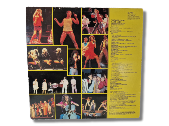 LP / vinyyli -levy (The kids From Fame - Live)