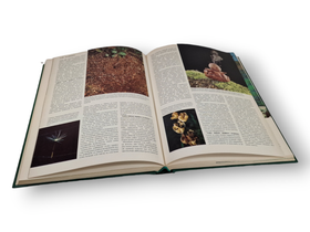 Kirja (Otavan iso kasvitietosanakirja 3 koppi - siemeniset munkki)