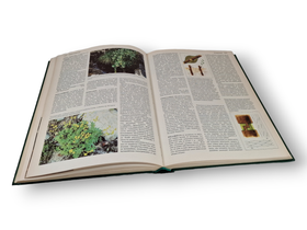 Kirja (Otavan iso kasvitietosanakirja 4 koppipsiemeniset munkki)