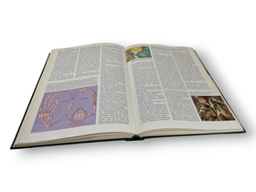 Kirja (Otavan iso kasvitietosanakirja 5 sienet - öljypuu-kasvit)