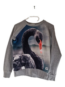 Lasten pitkähihainen pusero, koko 152 cm, (Molo)