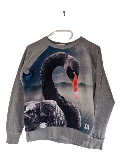 Lasten pitkähihainen pusero, koko 152 cm, (Molo)