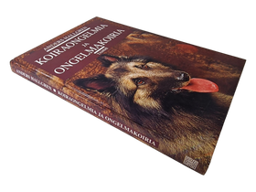 Kirja (Koiraongelmia Ja Ongelmakoiria - Anders Hallgren)