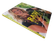 Kirja (Raw Food : Elinvoimaa raakaravinnosta - Erica Palmcrantz)
