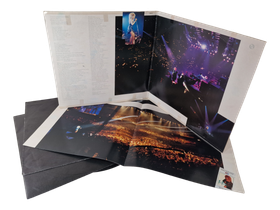 LP / vinyyli -levy (Tina Live - In Europe)