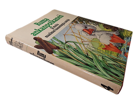 Kirja (Suuri satukirjasto 4 - Ruma ankanpoikanen ja muita maailman kauneimpia satuja)