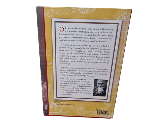 Kirja (Iisi : elämänasenne arkitaidoksi - Tony Dunderfelt)