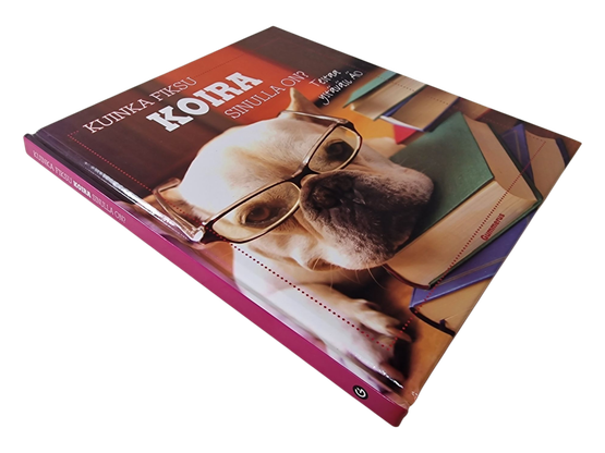 Kirja (Kuinka Fiksu Koira Sinulla On? - testaa ystäväsi ÄO)