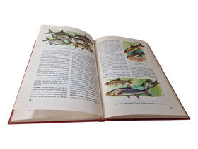 Kirja (Maailman Kalat - Hvass-Halme)